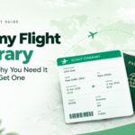 Dummy Air Ticket Booking For Visa: How To Prove You Are Traveling Without Burning Your Wallet