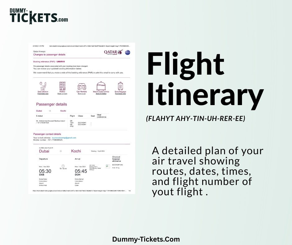 how to book dummy flight ticket
